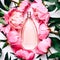 Pink bottle of women`s perfume next to the flowers of peony. Spring gentle fragrance for women. Top view, flat lay