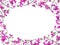 Pink Bougainvillea flower frame oval shape