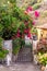 Pink bougainvillea flowers on the spanish gate