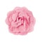 Pink brooch flower isolated on white