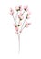 Pink buds flowers bouquet painting vector design