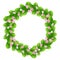 Pink buds and leaves.Large round spring wreath. Flowering cherry / apple tree and young green foliage. Isolated without shadow