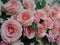 Pink bunch of roses, wedding decoration