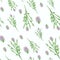 Pink bush rose blossoms, branches and leaves on white background. Seamless pattern. Elegant spring print. Packaging, wallpaper, te