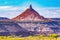 Pink Butte Canyonlands Needles Utah