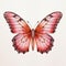 Pink Butterfly With Black Stripes On White Background In Matthias Jung Style