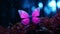 Pink Butterfly In Moonlight: Hyper-realistic Nature-inspired Cinema4d Render