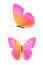 pink butterfly with yellow spots in the fas and profile isolated on a white background