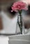 Pink carnation adorned in thin glass vases placed on a dining ta