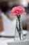 Pink carnation adorned in thin glass vases placed on a dining ta