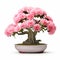 Pink Carnation Bonsai: Digital Manipulation With Soft Mist
