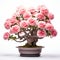 Pink Carnation Bonsai Tree: Traditional Chinese Style With Pink Flowers