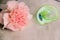 Pink carnation flower and old green pacifier soother in sunlight. infant accessories