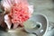 Pink carnation flower and old pacifier soother in sunlight. infant accessories