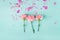 Pink carnations on a blue background. Flowers. Copyspace