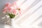 Pink Carnations Bouquet on White Wall Background with Sunlight Shadows for Home Decor