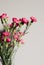 Pink Carnations with buds Card. Close up. Small copy space for