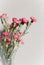 Pink Carnations with buds Card. Close up. Small cropy space for