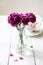 Pink carnations flower bouquet in a vase