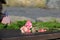 Pink carnations left on memorial