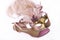 Pink carnival mask and sandals