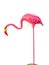 Pink ceramic flamingo figures with white background