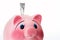 Pink Ceramic Piggy Bank