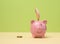 pink ceramic piggy bank and tucked euro bundle savings and investment concept