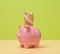 pink ceramic piggy bank and tucked euro bundle savings and investment concept
