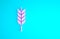 Pink Cereals set with rice, wheat, corn, oats, rye, barley icon isolated on blue background. Ears of wheat bread symbols