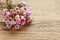 Pink chamelaucium wax flower on wooden background