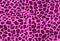 Pink cheetah background