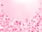 Pink cherry blossom petals isolated on rose color background. Flying sakura flower parts spring wedding vector.