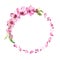 Pink cherry petals, sakura blossom, spring cherry flowers. Floral wreath. Watercolor round border