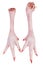 Pink chicken feet with claws