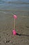 Pink children shovel stands on the sandy beach