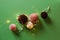 Pink Christmas decorations on a green table