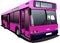 Pink city bus. Coach.