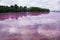 Pink clean the surface of the water on a tropical exotic beach a wild island in the centre