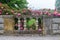 Pink climbing rose blooms along a stone wall