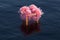 Pink cloud float over the sea, 3d rendering