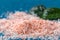 Pink coarse salt crystals on blue table. Himalaya salt. Background for advertising salty.