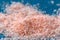 Pink coarse salt crystals on blue table. Himalaya salt. Background for advertising salty.