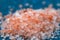 Pink coarse salt crystals on blue table. Himalaya salt. Background for advertising salty.