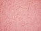 Pink colorful rough plaster detail