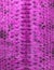 Pink coloured snake skin background. Reptile texture