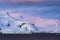 Pink colours at Sunset in Gerlache Strait