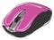 Pink computer mouse, vector or color illustration