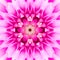 Pink Concentric Flower Center. Mandala Kaleidoscopic design