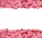 Pink confetti border